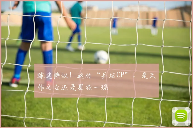 球迷热议!这对“乒坛CP”,是天作之合还是昙花一现
