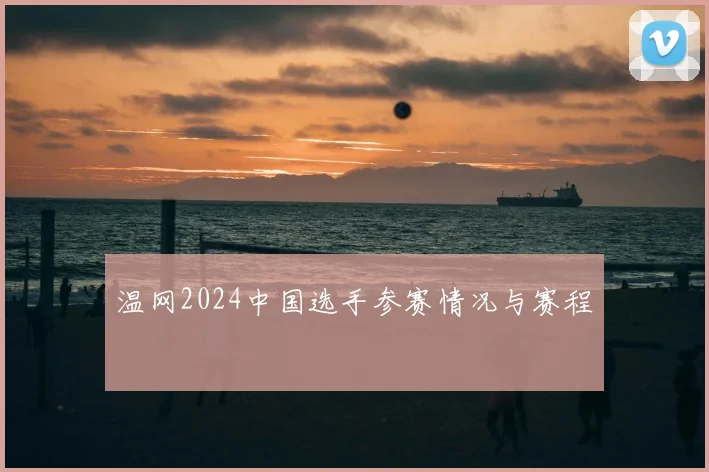 温网2024中国选手参赛情况与赛程