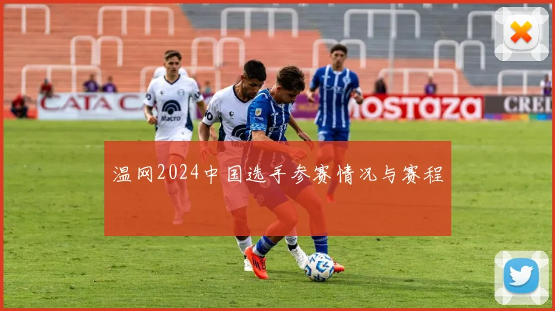 温网2024中国选手参赛情况与赛程