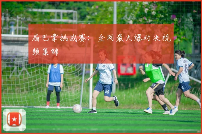 扇巴掌挑战赛：全网最火爆对决视频集锦