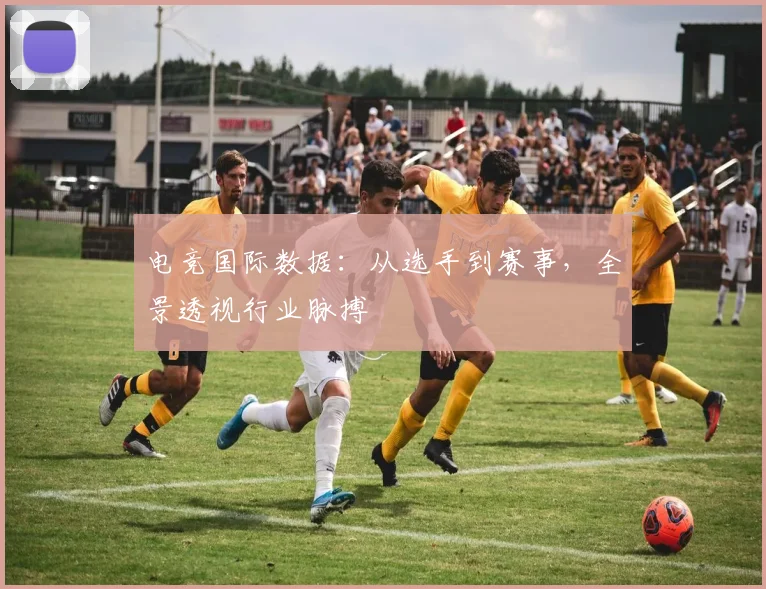 电竞国际数据：从选手到赛事，全景透视行业脉搏