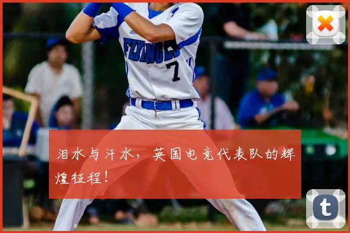 泪水与汗水,英国电竞代表队的辉煌征程!